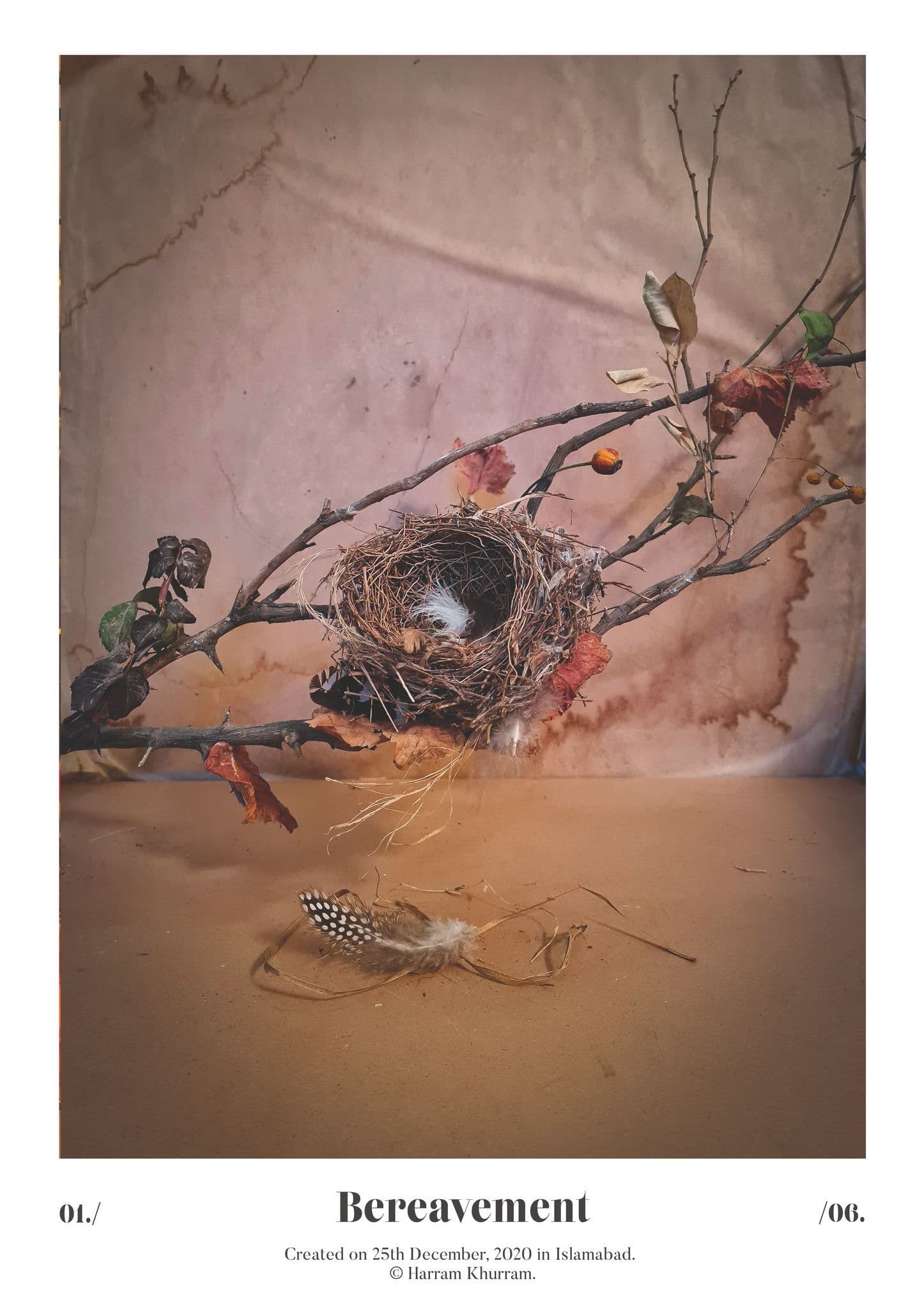 Flora Fauna and Merryweather — photograph 31