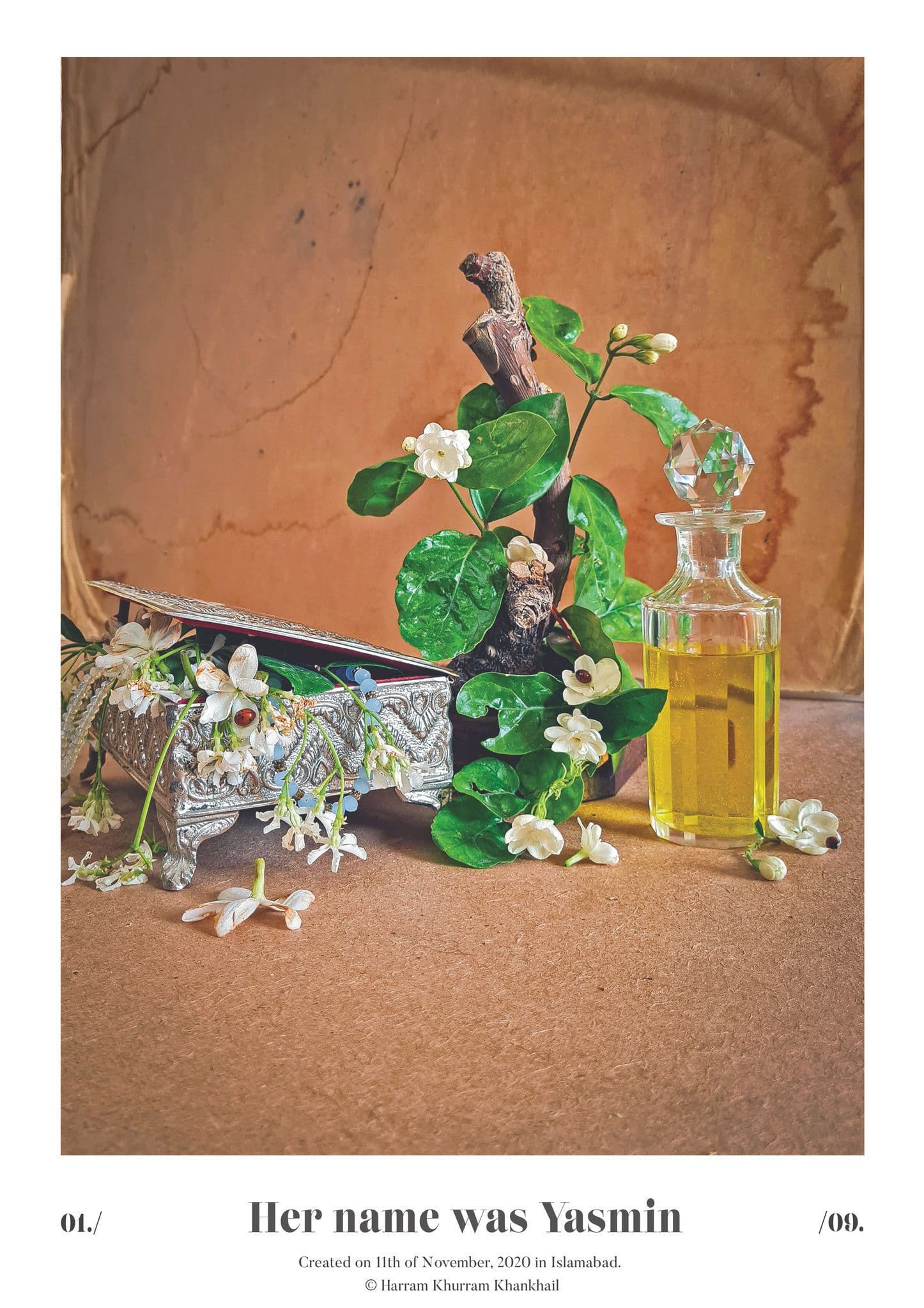 Flora Fauna and Merryweather — photograph 11