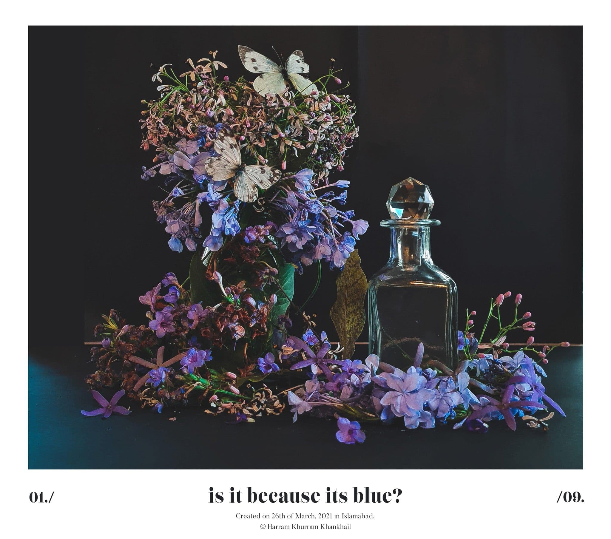 Flora Fauna and Merryweather — photograph 14