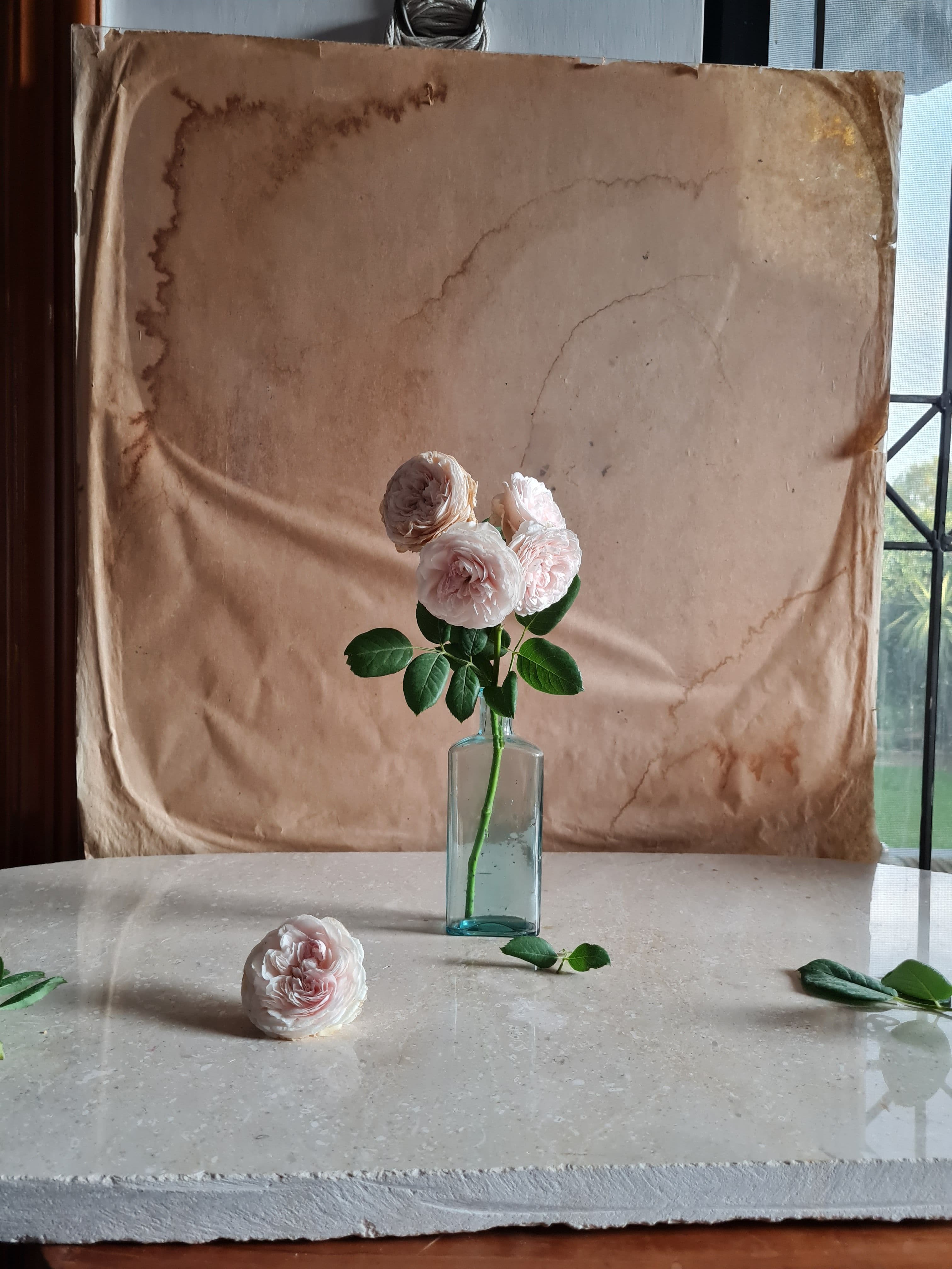Flora, Fauna and Merryweather