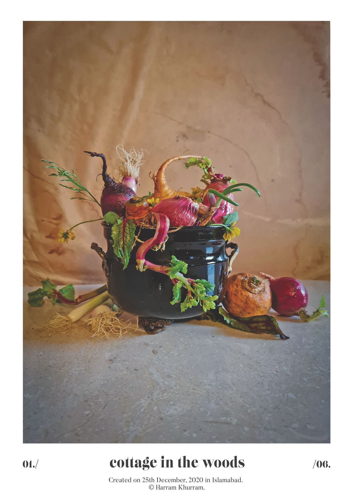 Flora Fauna and Merryweather — photograph 10