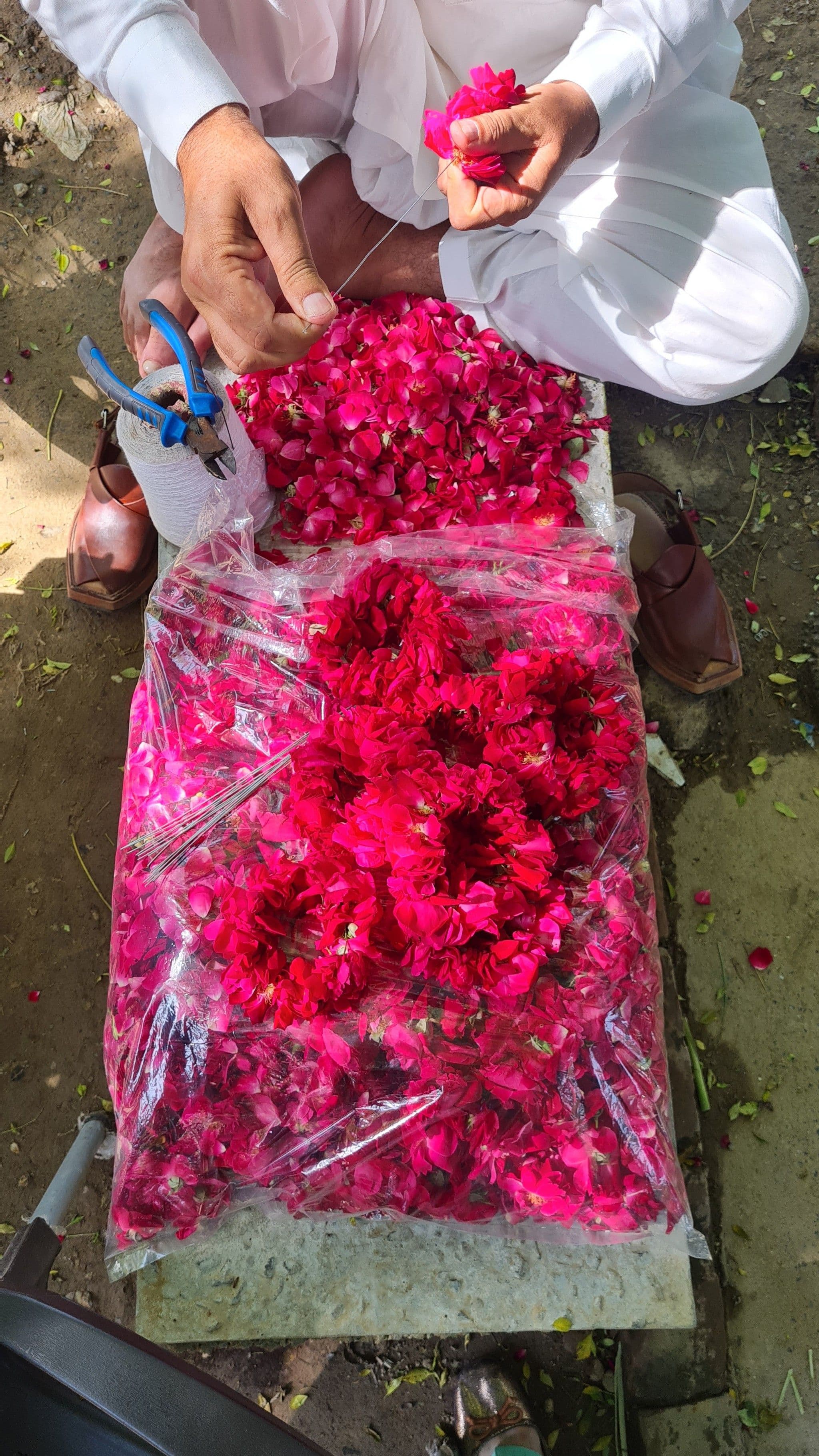 Mardanna Phool — photograph 04