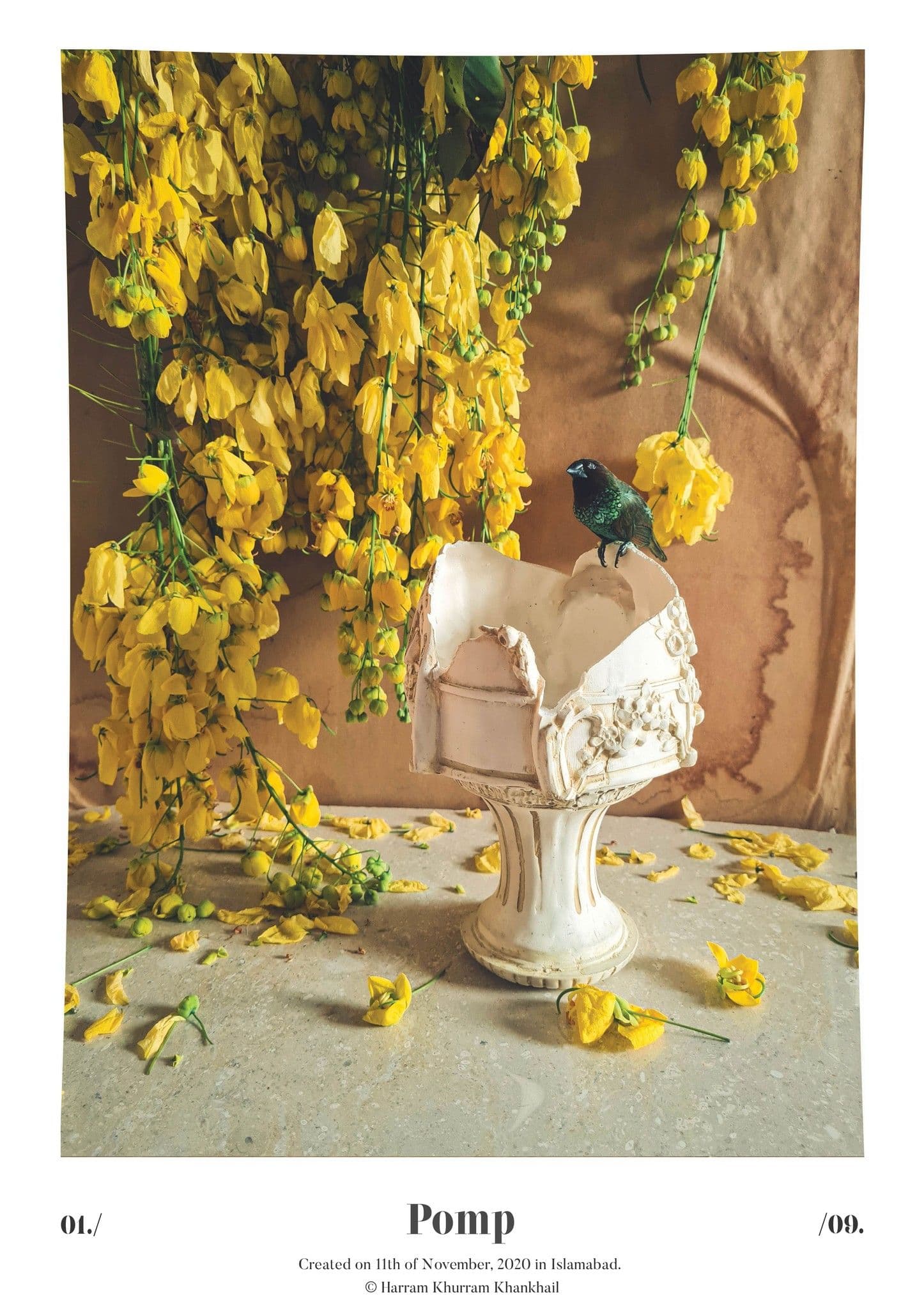 Flora Fauna and Merryweather — photograph 16