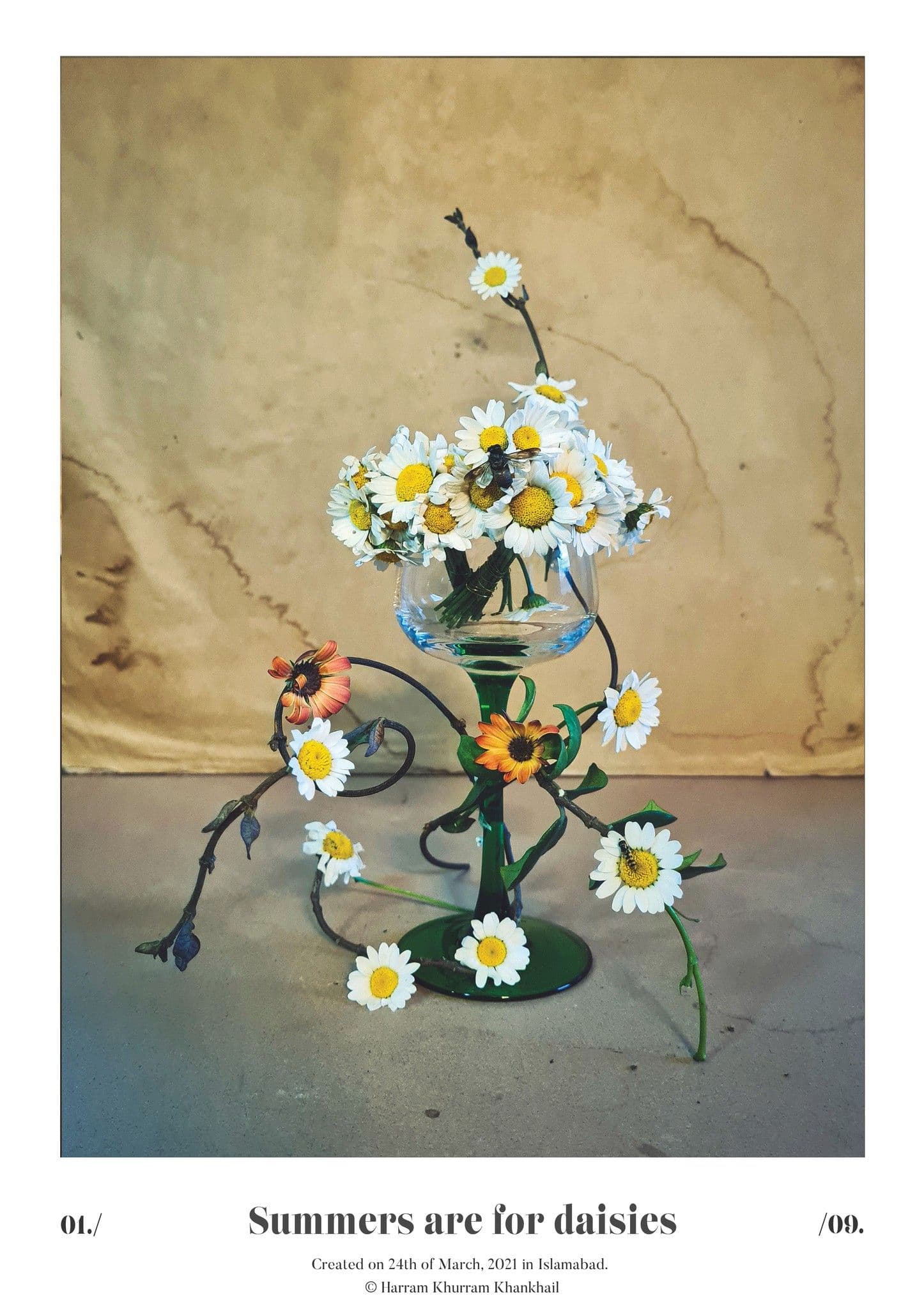Flora Fauna and Merryweather — photograph 21
