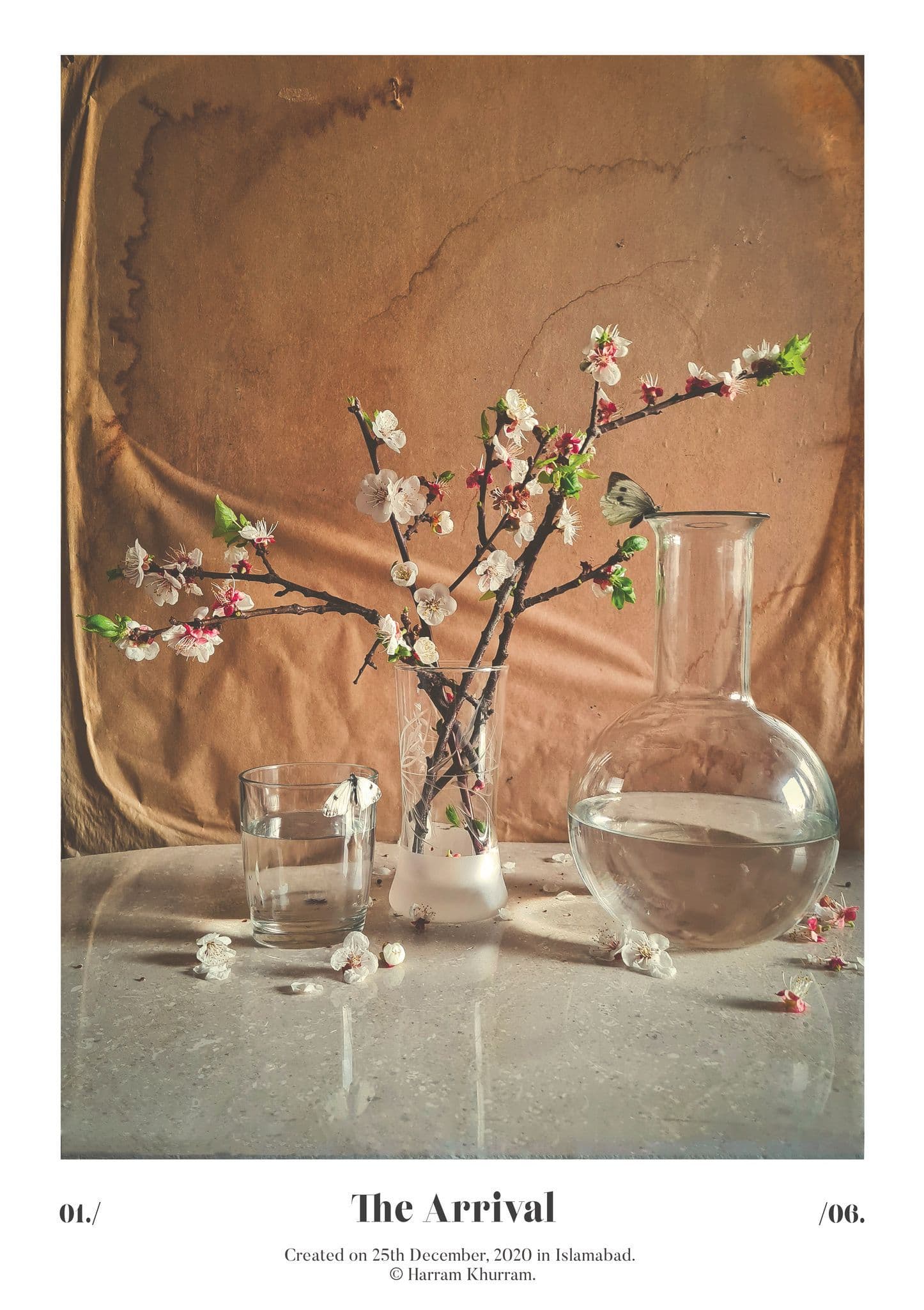 Flora Fauna and Merryweather — photograph 27