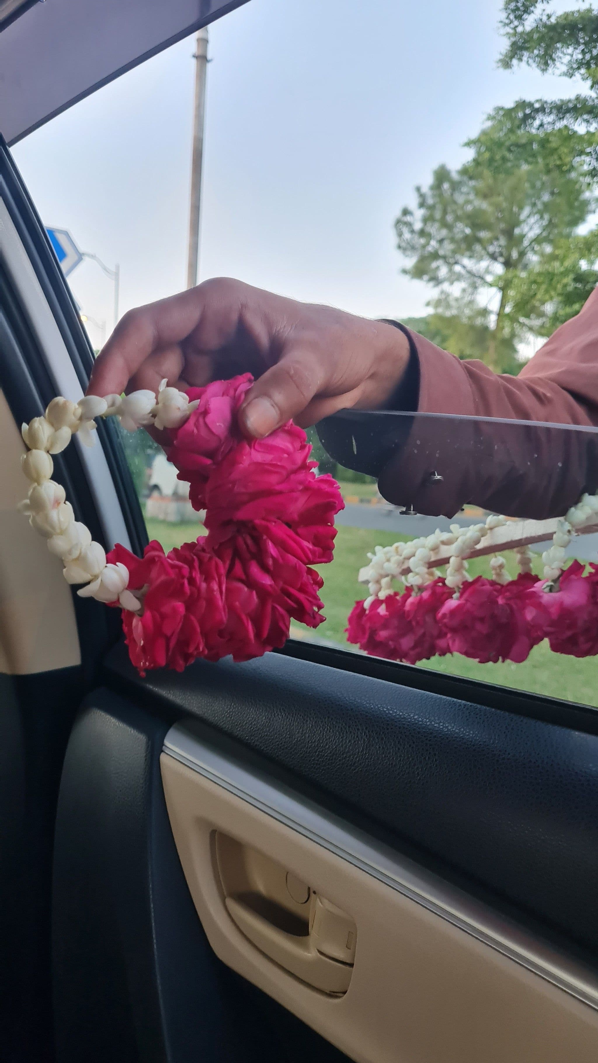 Mardanna Phool — photograph 05