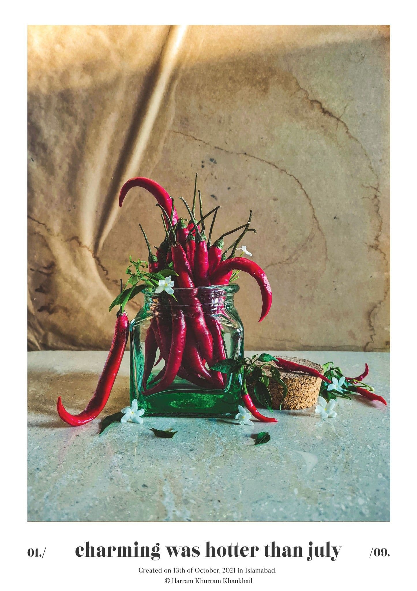 Flora Fauna and Merryweather — photograph 28