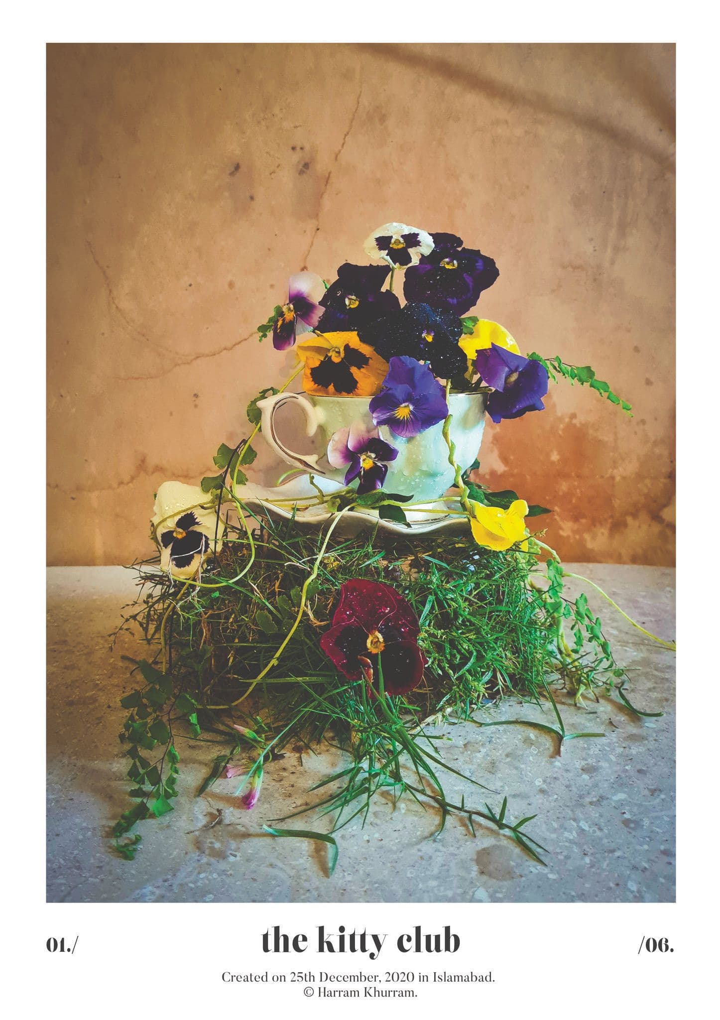 Flora Fauna and Merryweather — photograph 30