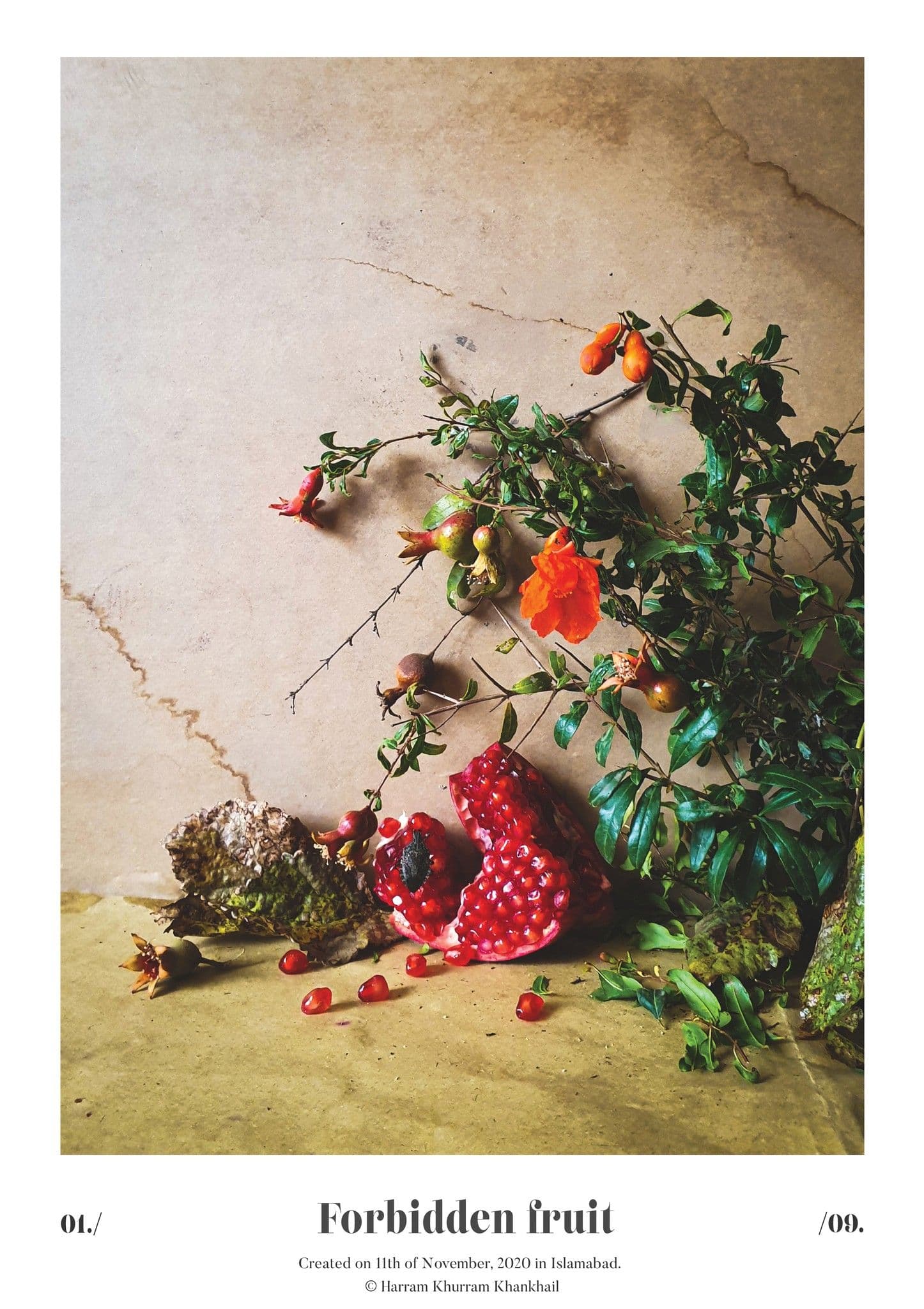 Flora Fauna and Merryweather — photograph 07
