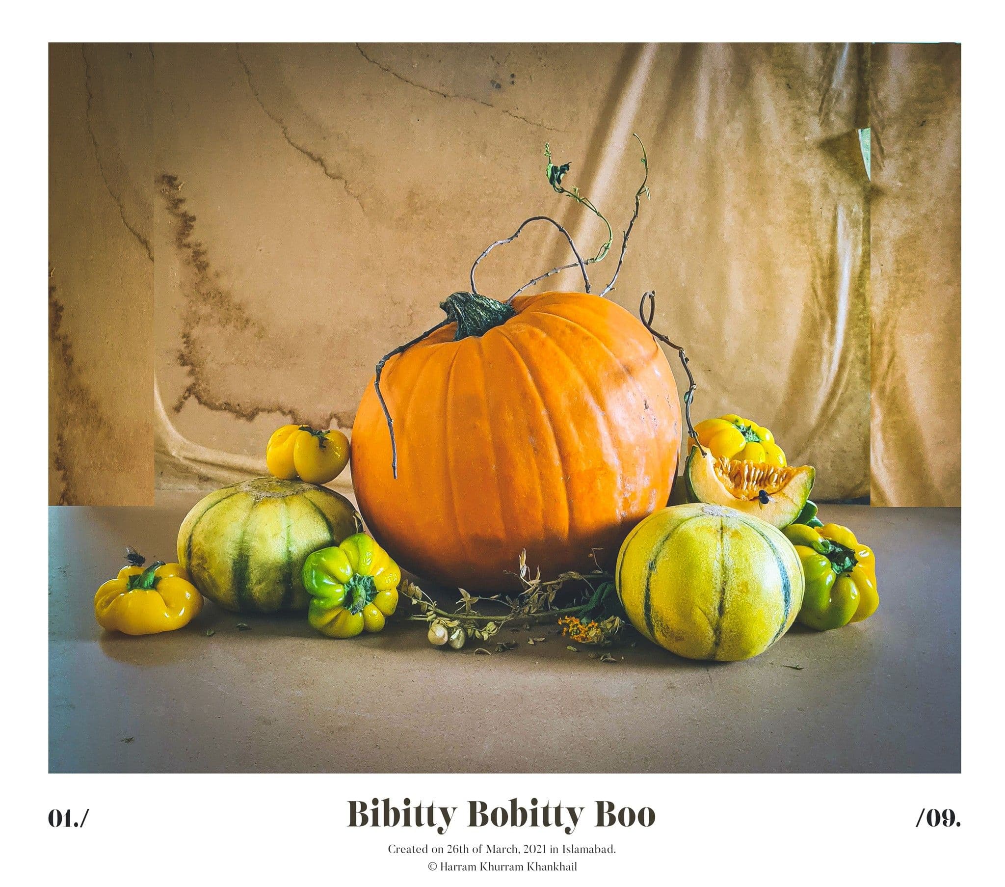 Flora Fauna and Merryweather — photograph 26